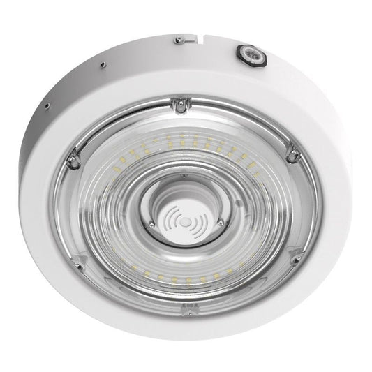 Canopy Light in White