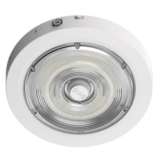 Canopy Light in White