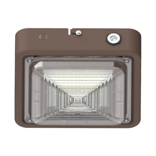 Canopy Light in Bronze
