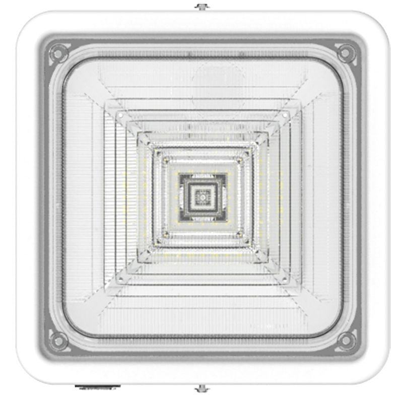 Canopy Light in White
