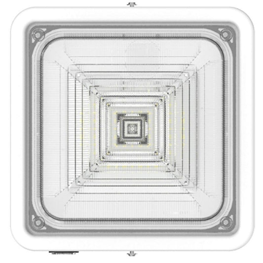 Canopy Light in White