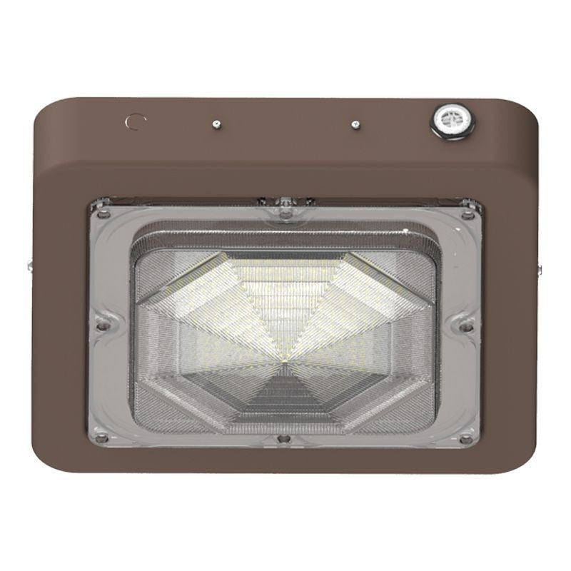 Canopy Light in Bronze