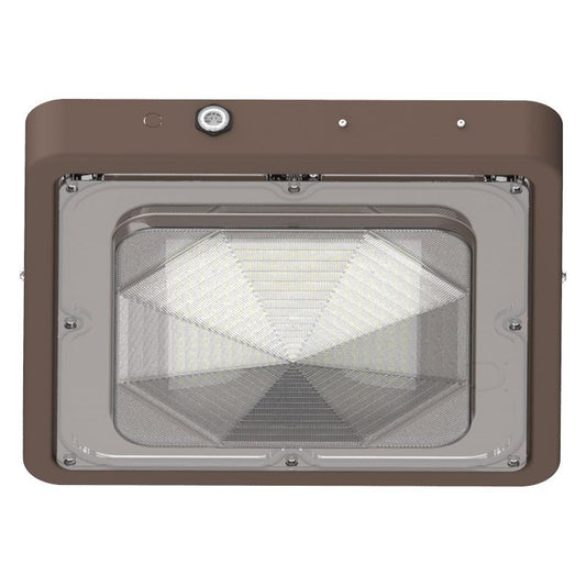Canopy Light in Bronze