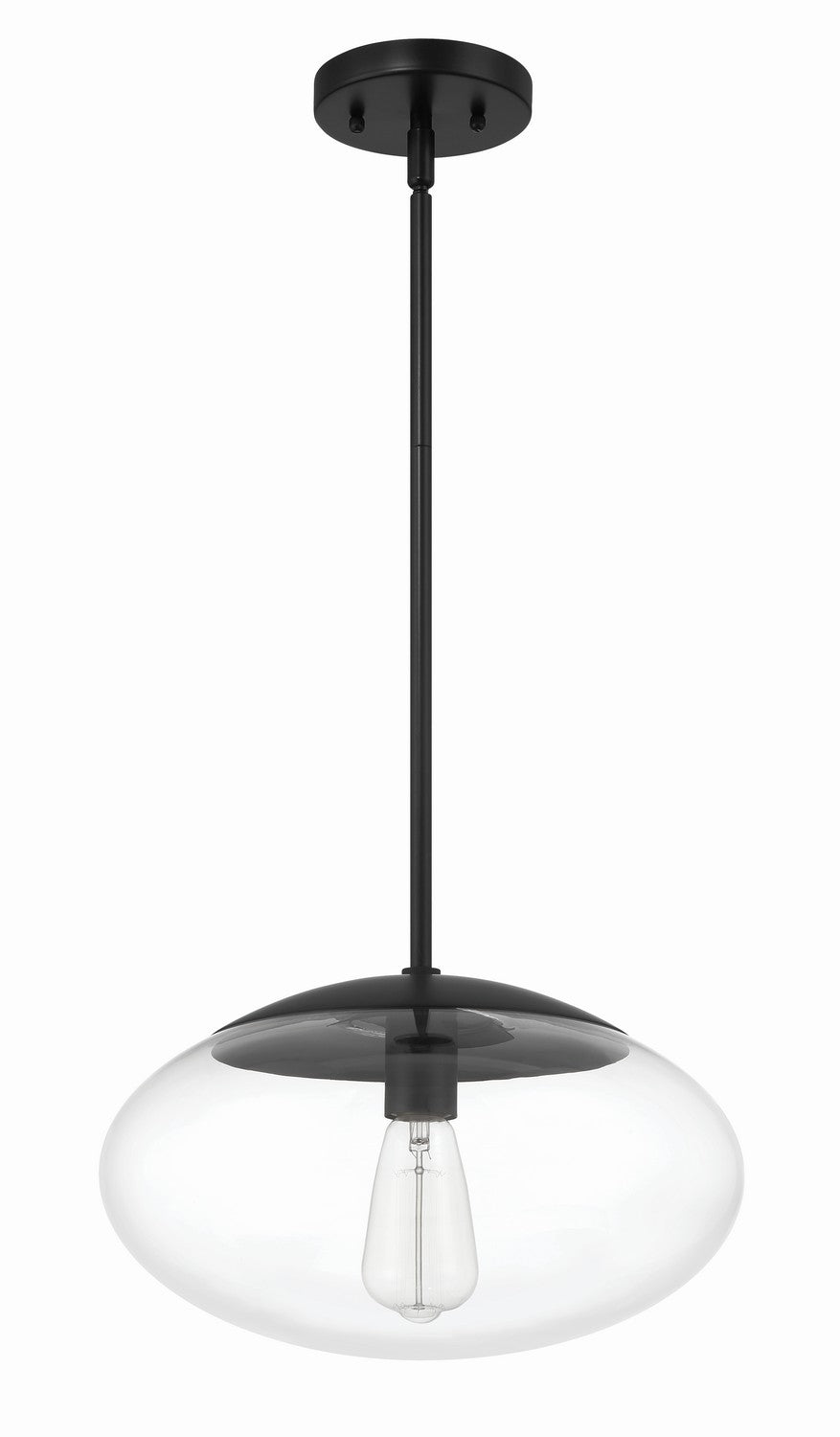 Gaze One Light Pendant in Flat Black