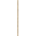 Stem Accessory Stem in Heritage Brass