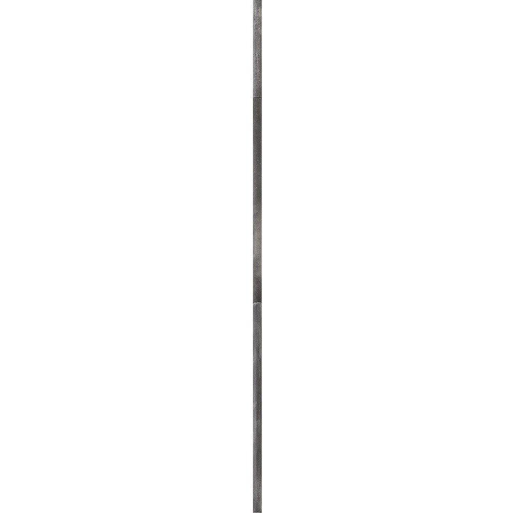 Stem Accessory Stem in Aged Zinc