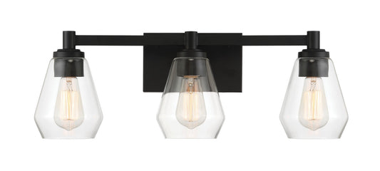 Clarity Three Light Bath Vanity in Coal