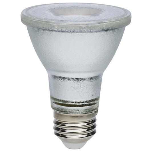 (4-Pack) Light Bulb in Silver