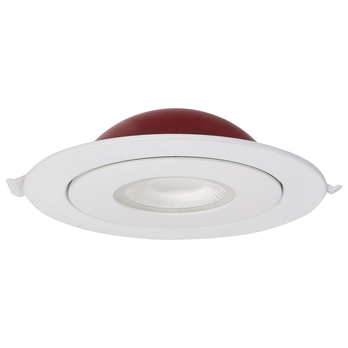LED Downlight in White