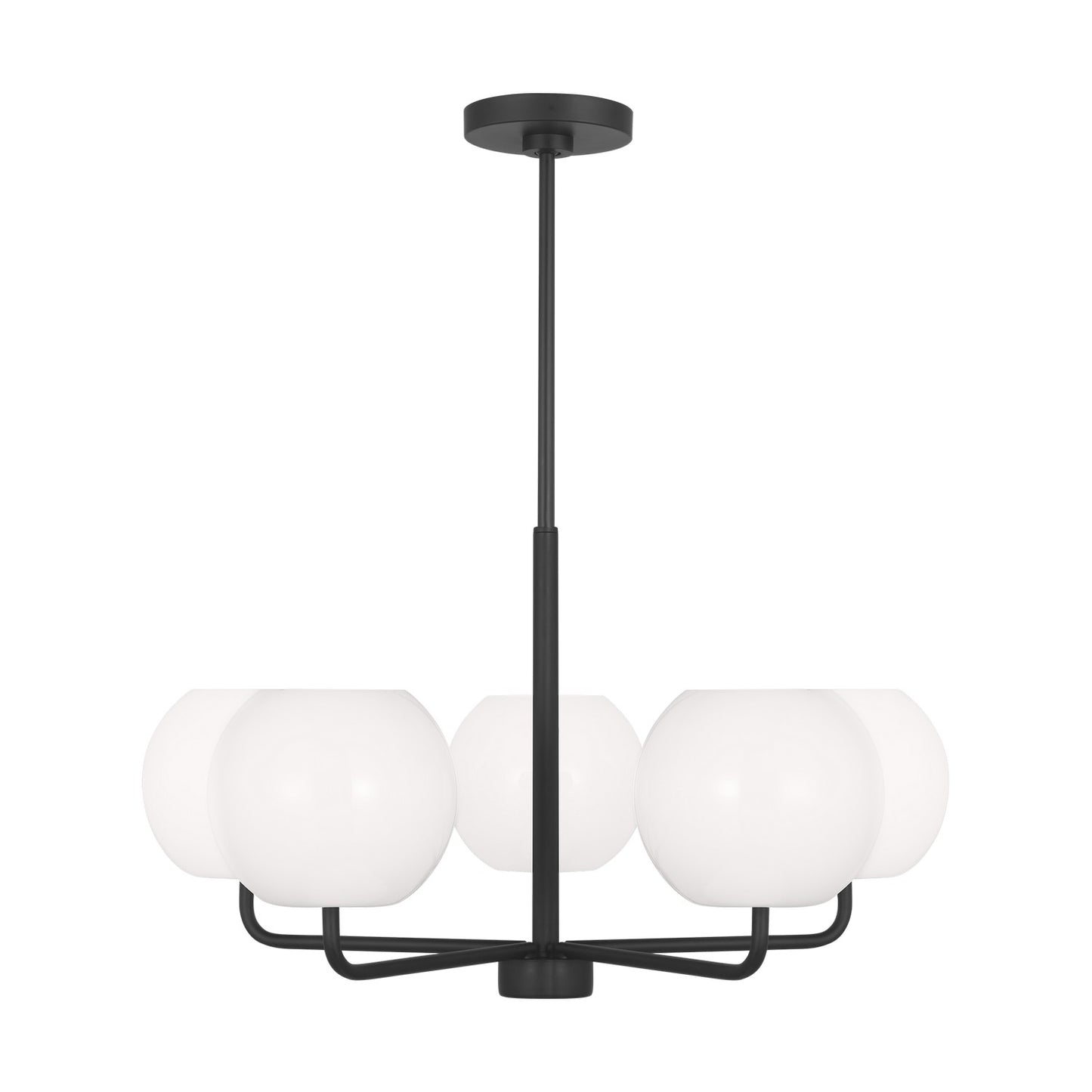 Rory Five Light Chandelier in Midnight Black