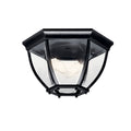 Two Light Outdoor Ceiling Mount in Black