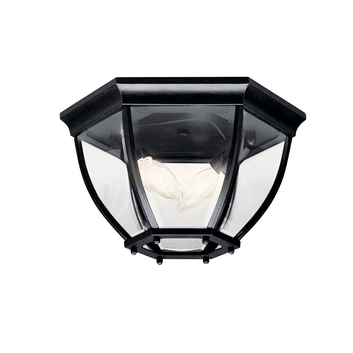 Two Light Outdoor Ceiling Mount in Black