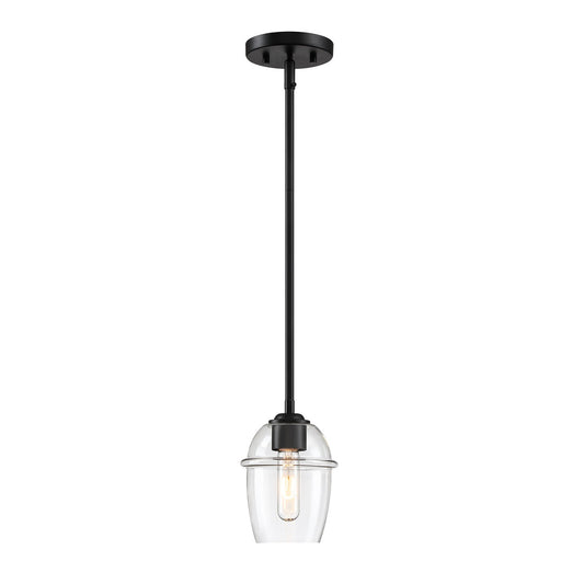 Summer Jazz One Light Pendant in Matte Black