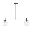 Summer Jazz Two Light Island Pendant in Matte Black