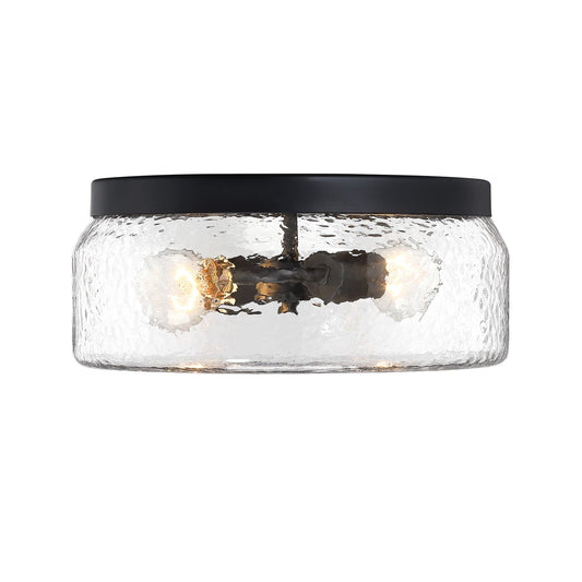 Rose Marie Two Light Island Pendant in Matte Black