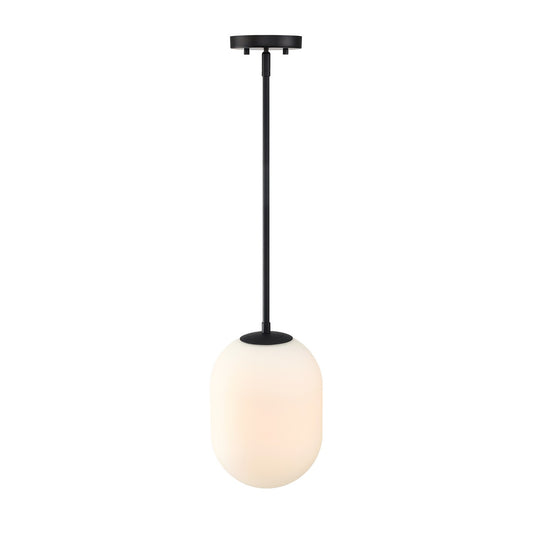 Noor One Light Pendant in Matte Black