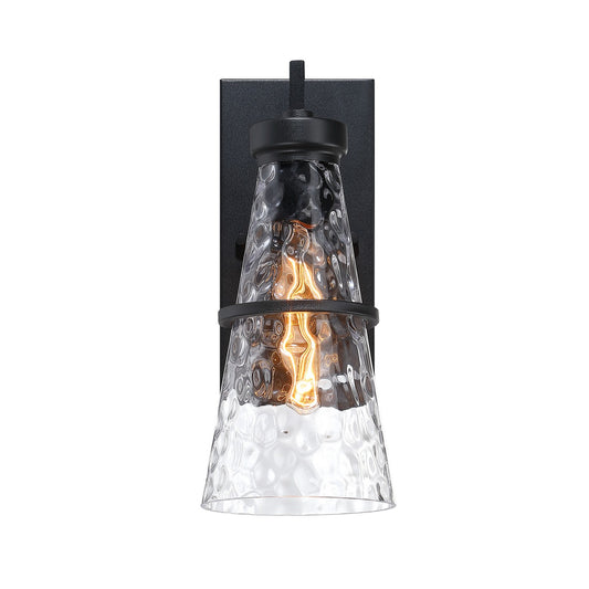 Field Daisy Lane One Light Outdoor Wall Sconce in Black