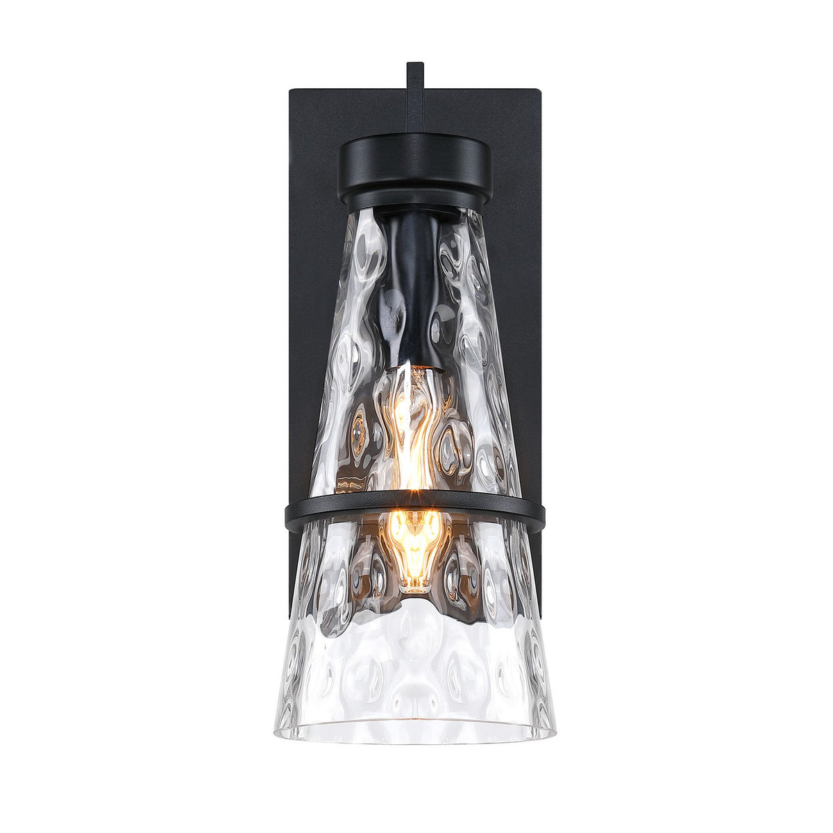 Field Daisy Lane One Light Outdoor Wall Sconce in Black