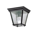 One Light Outdoor Ceiling Mount in Black