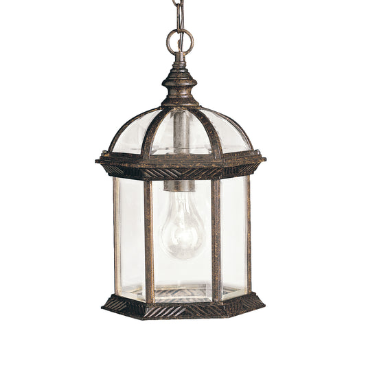 Barrie One Light Outdoor Pendant in Tannery Bronze