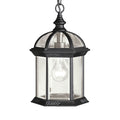 Barrie One Light Outdoor Pendant in Black