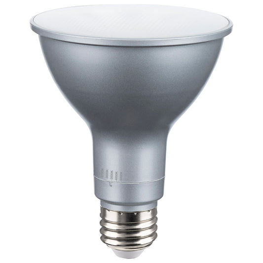 (4-Pack) Light Bulb in Silver