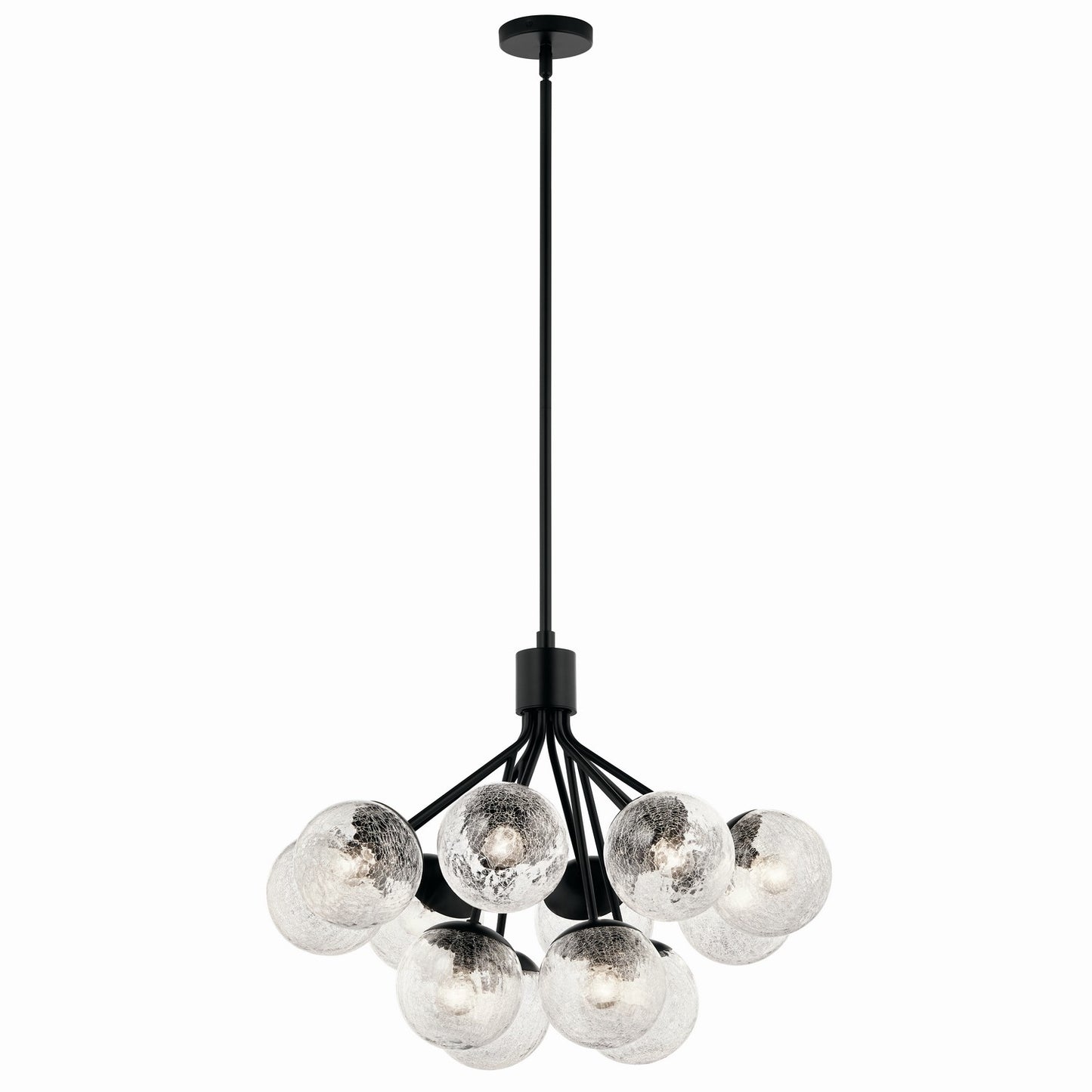Silvarious 12 Light Chandelier Convertible in Black