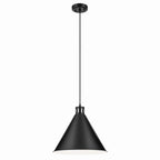Zailey One Light Pendant in Black