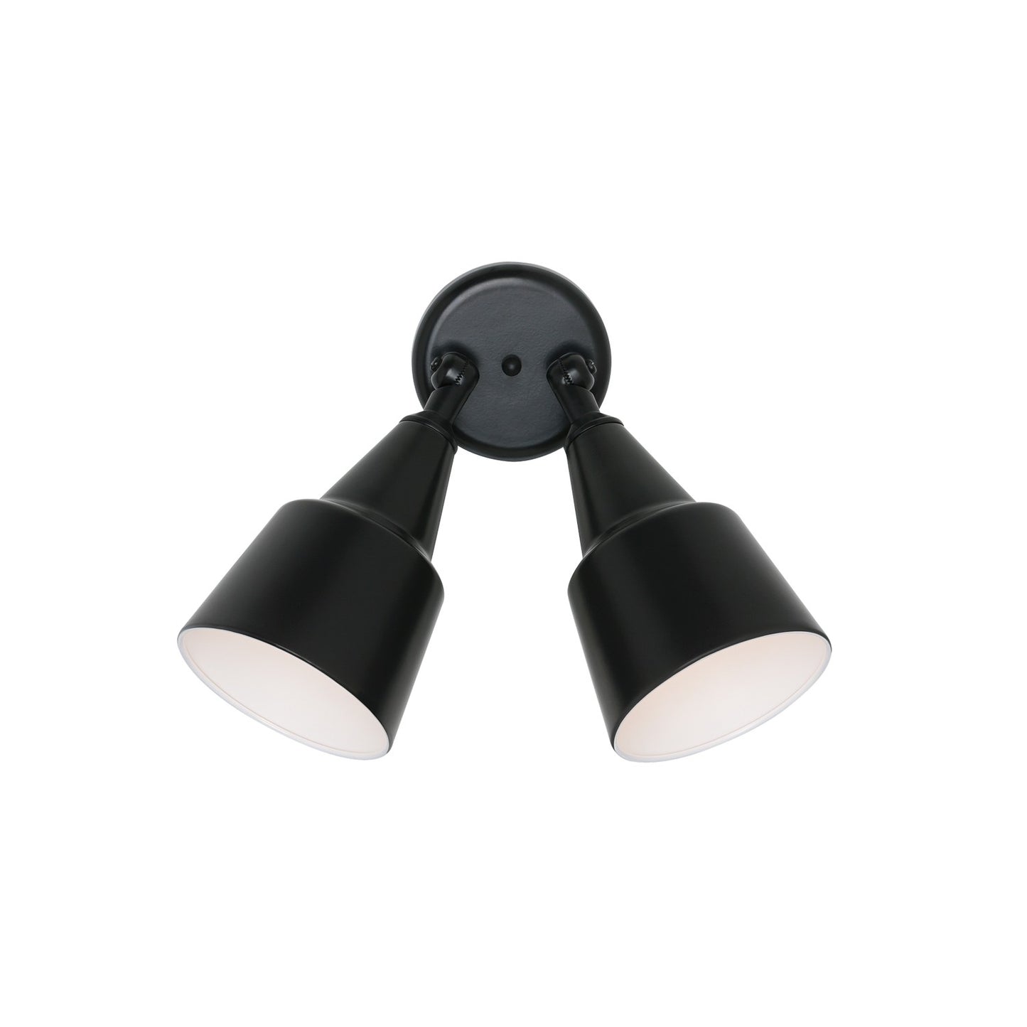 Flood Light Two Light Flood Light in Black