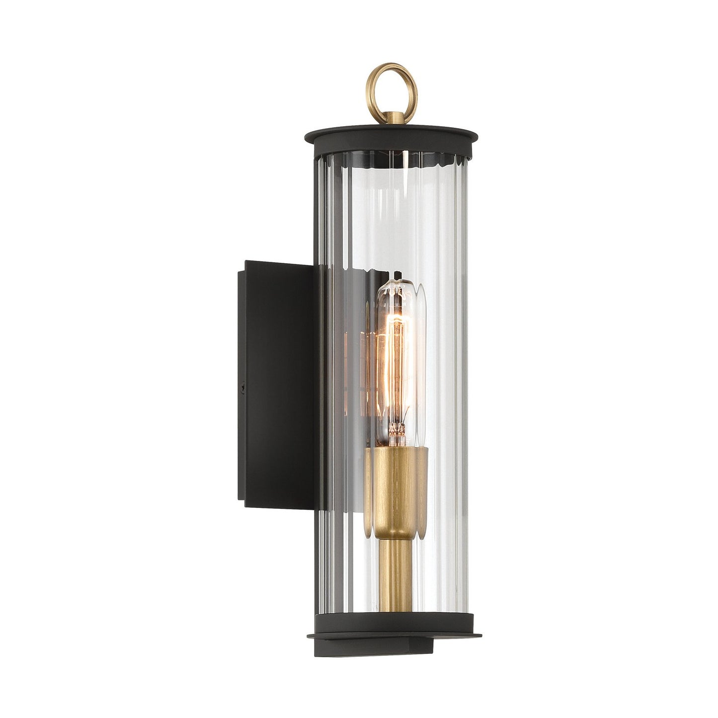 Cara One Light Outdoor Wall Sconce in Dark Matte Black