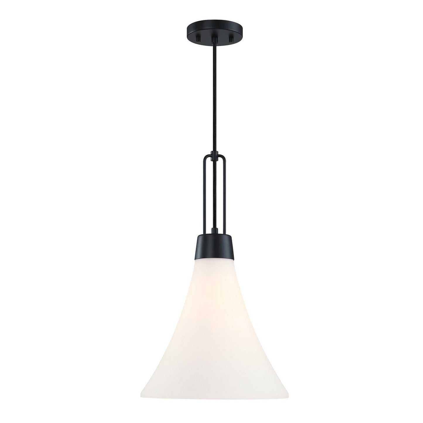 Evergreen Oasis One Light Pendant in Matte Black