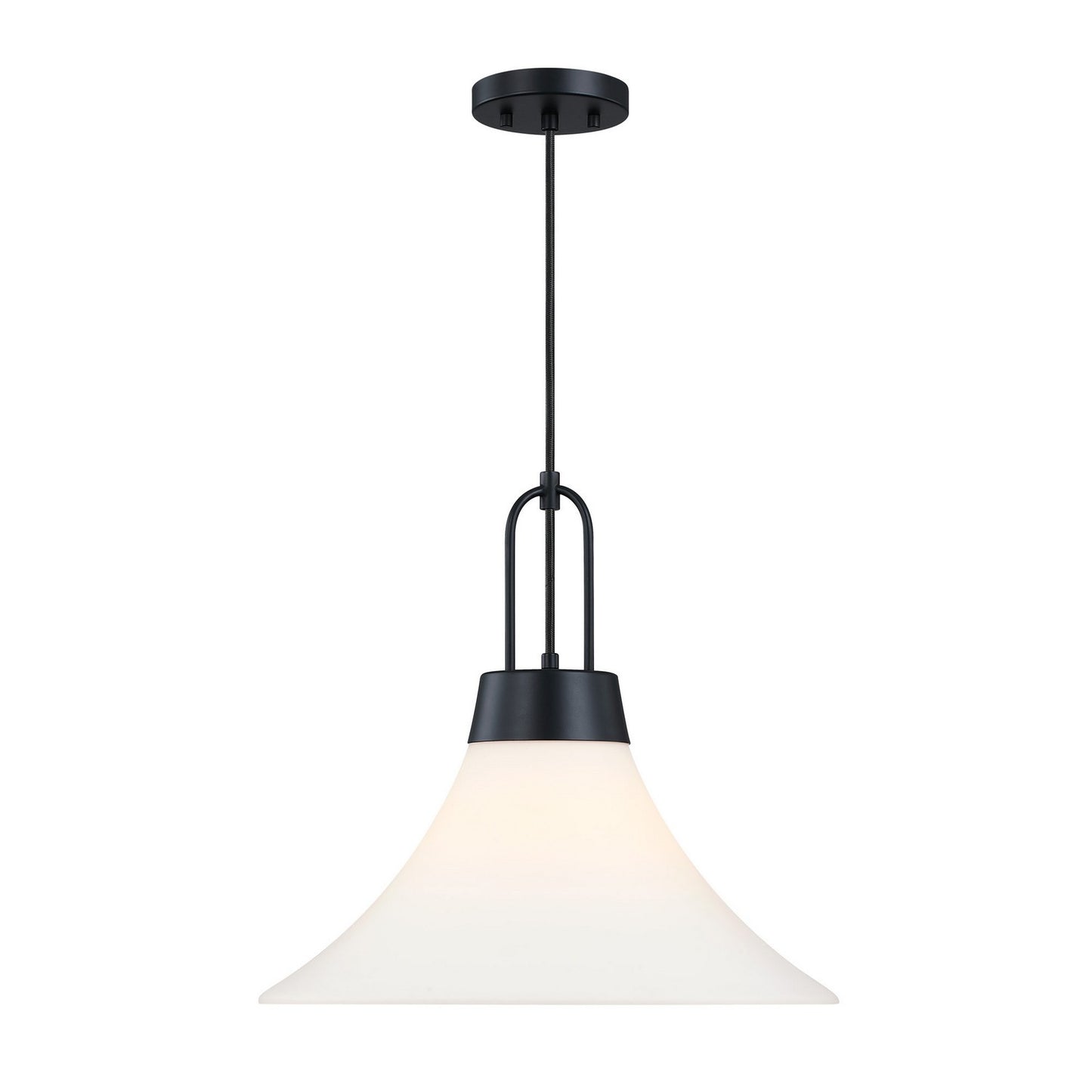 Evergreen Oasis One Light Pendant in Matte Black