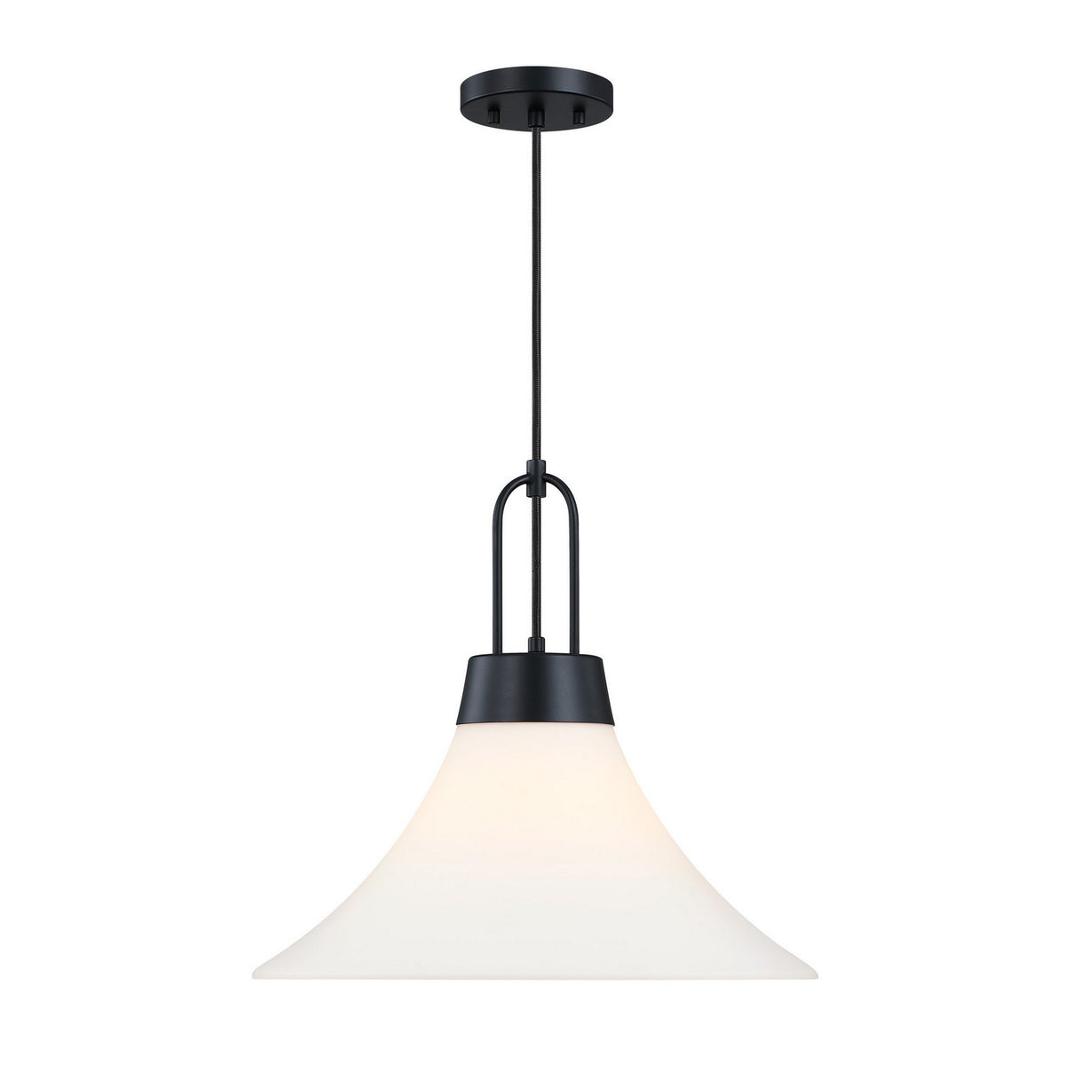 Evergreen Oasis One Light Pendant in Matte Black