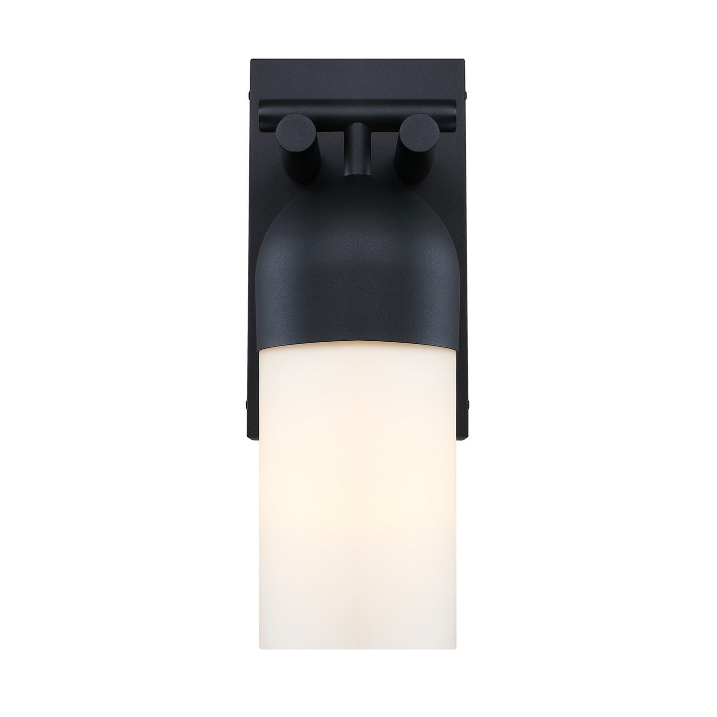 Ever Spring One Light Outdoor Wall Sconce in Black
