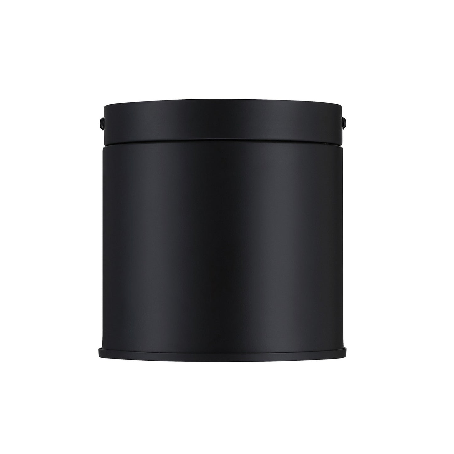 Fleur Oasis One Light Flush Mount in Matte Black