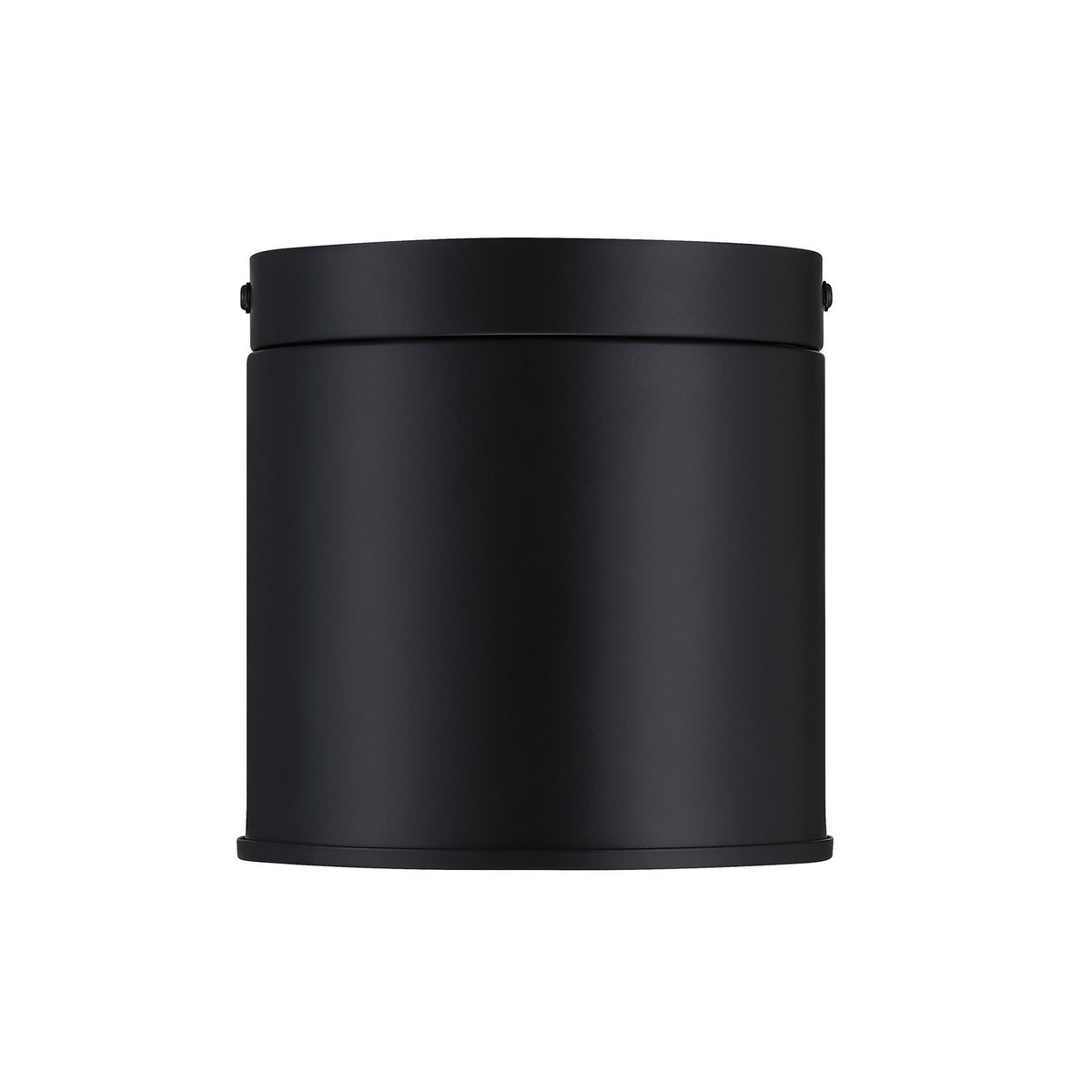 Fleur Oasis One Light Flush Mount in Matte Black
