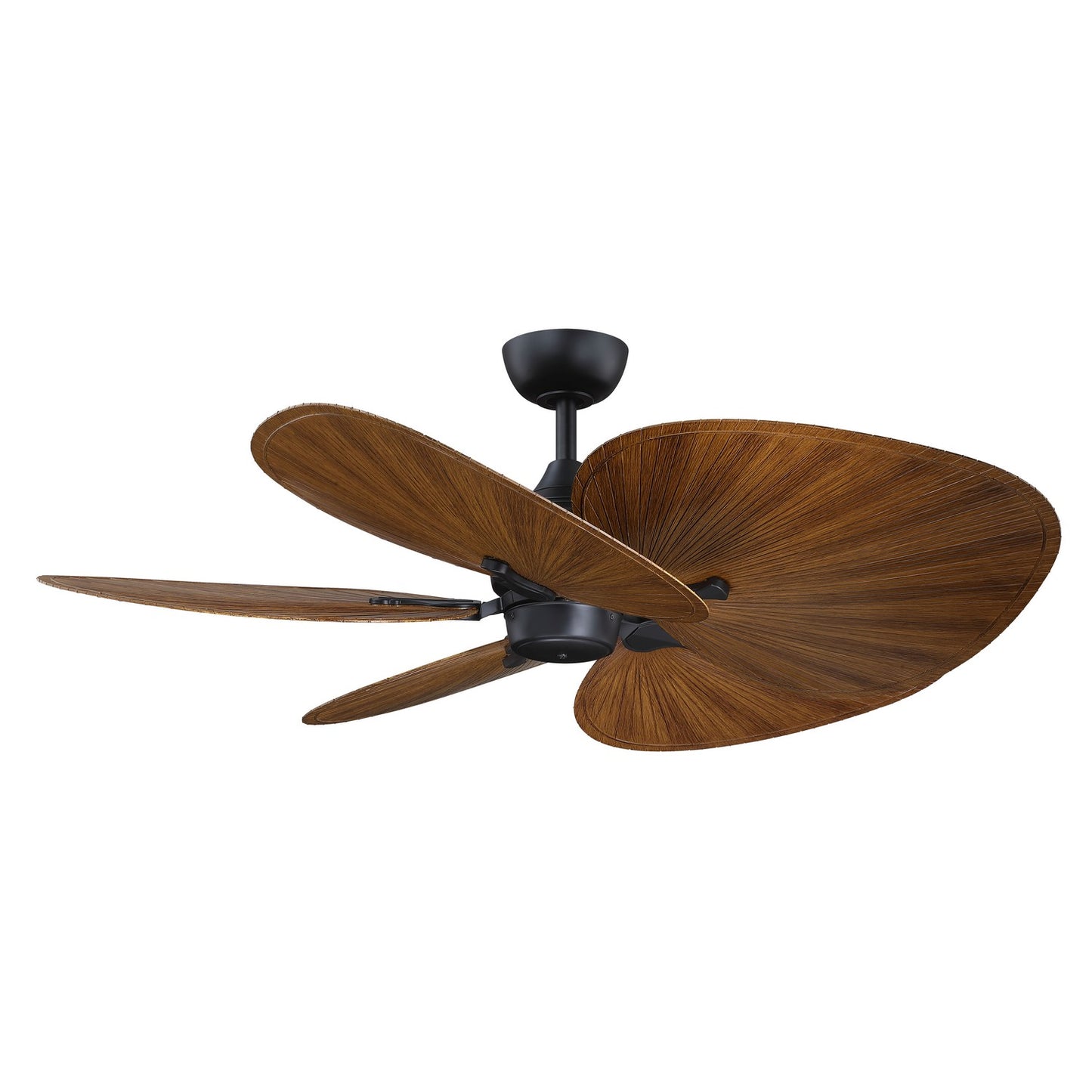 Islander DC DC Motor in Black