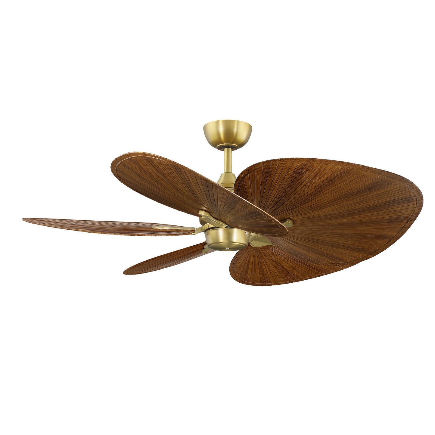 Islander DC DC Motor in Brushed Satin Brass