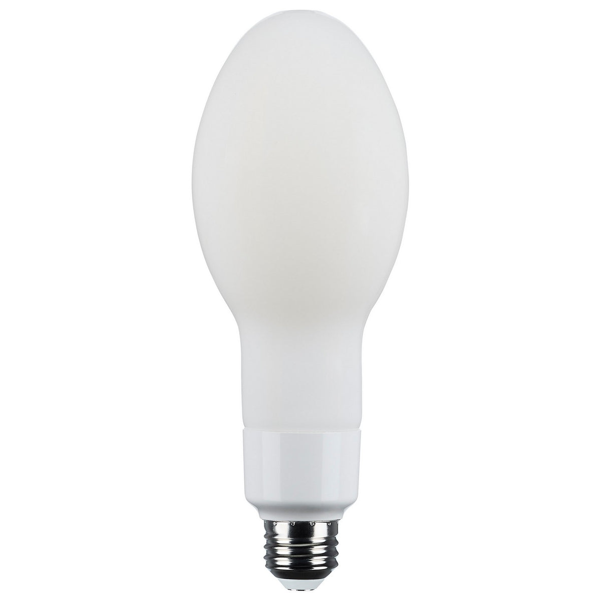 Light Bulb in White