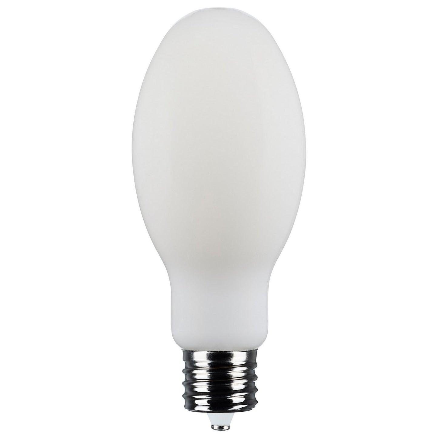 Light Bulb in White