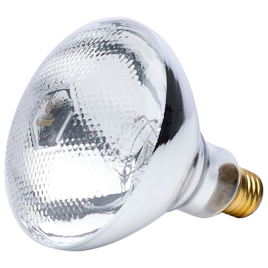 (4-Pack) Light Bulb in Clear Heat