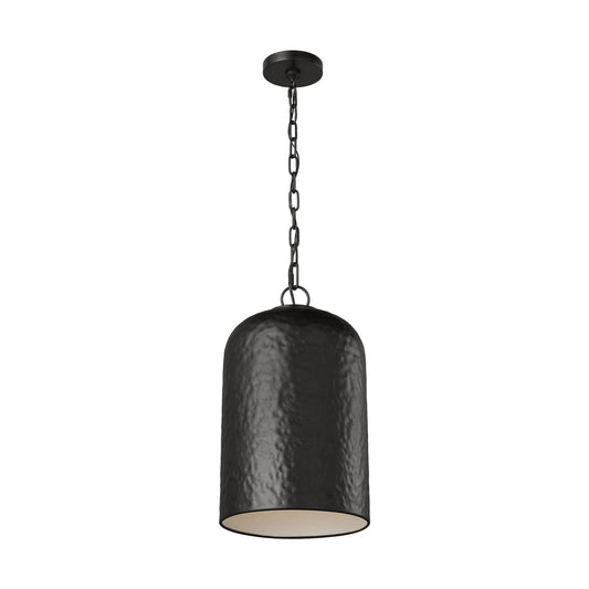 Buckner One Light Pendant in Aged Iron