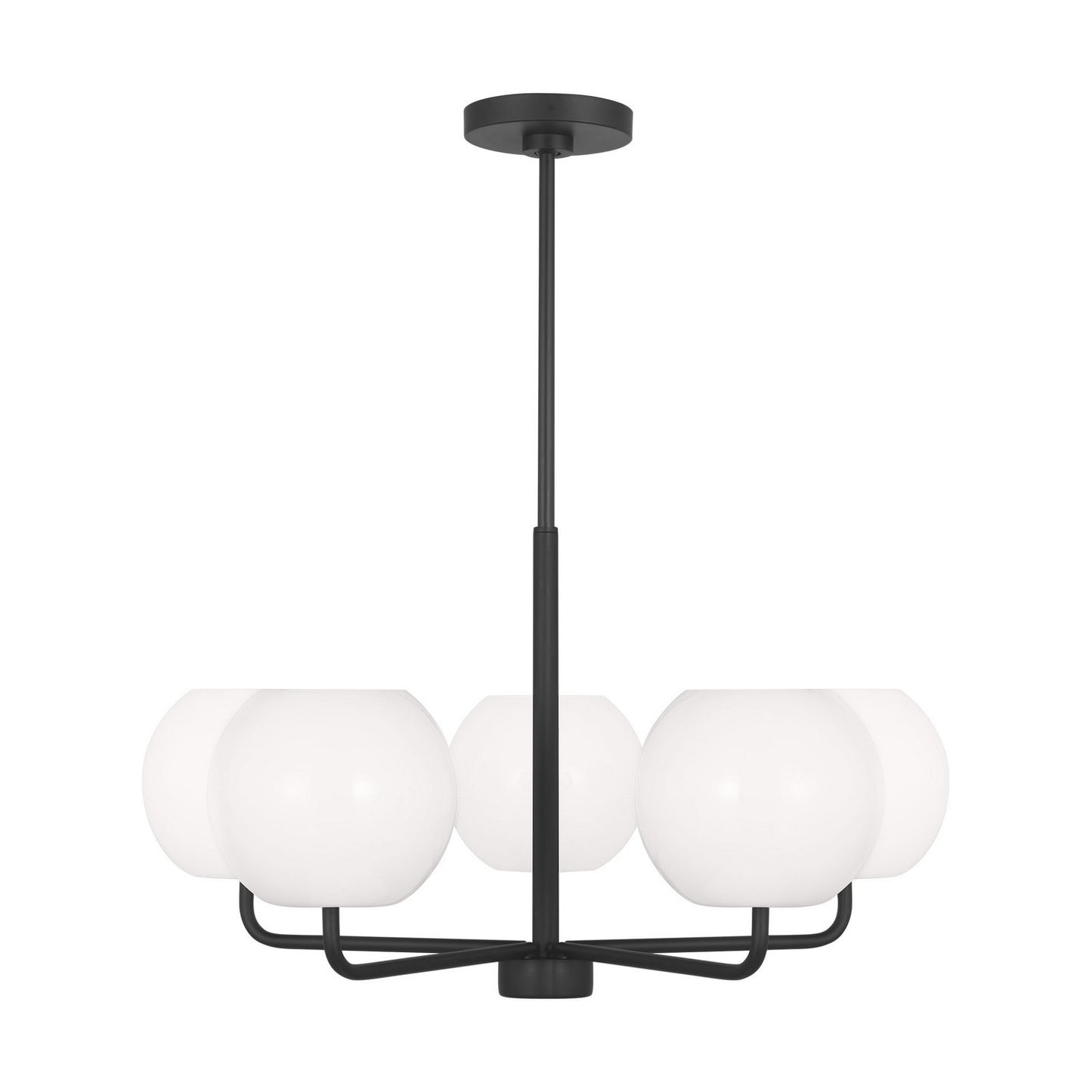 Rory Five Light Chandelier in Midnight Black