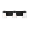 Roy Three Light Vanity in Midnight Black