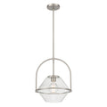 Coralyn One Light Pendant in Brushed Nickel