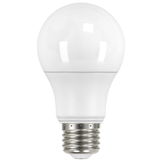 (4-Pack) Light Bulb in Frost