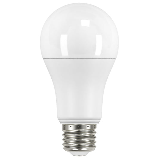 (4-Pack) Light Bulb in Frost