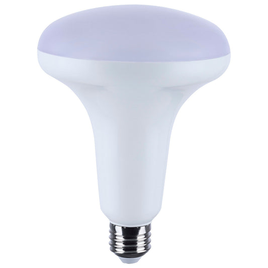 (4-Pack) Light Bulb in White