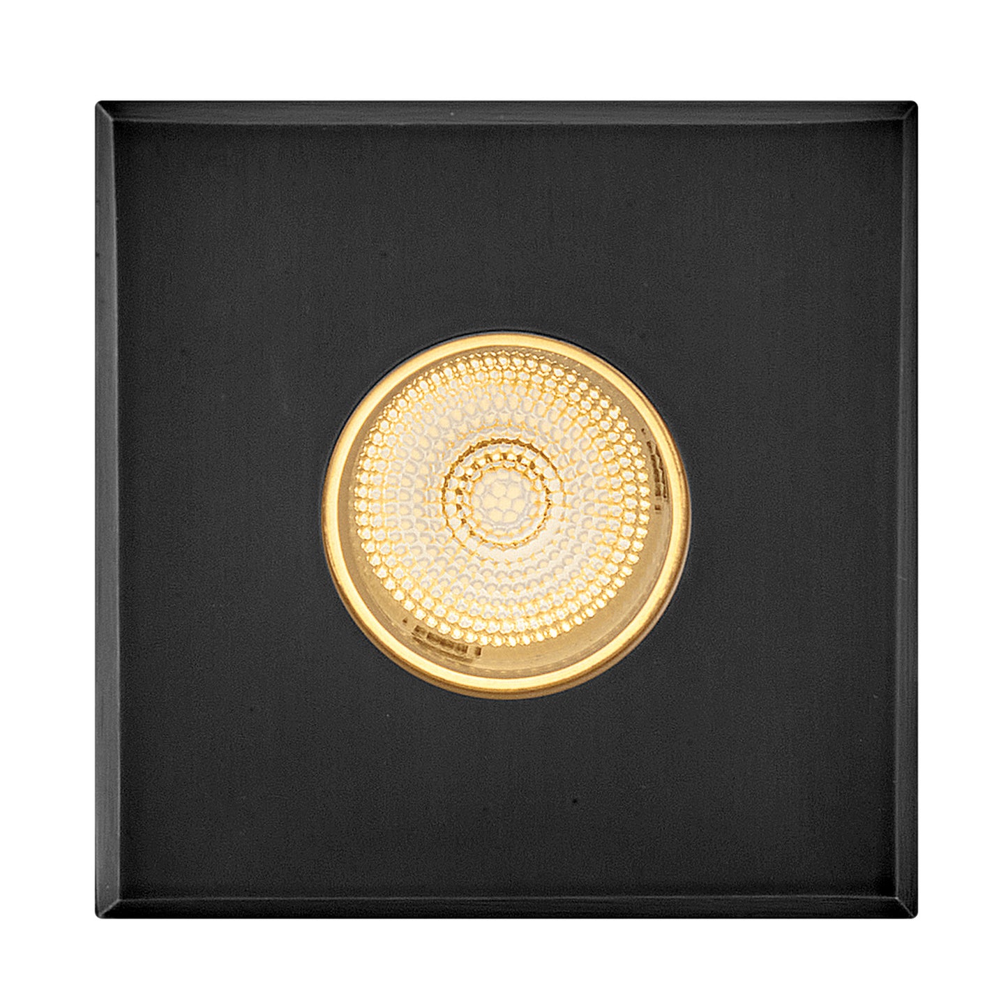Sparta - Dot LED Button Light in Stainless Steel Black