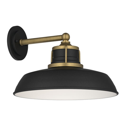 Fielding One Light Outdoor Wall Mount in Natural Brass
